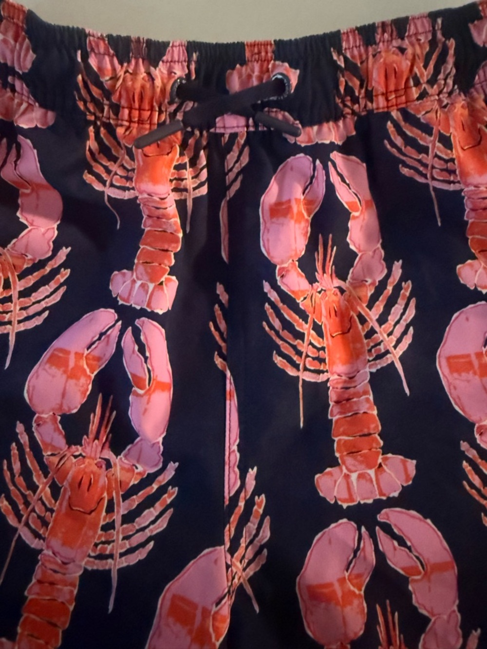 Vineyard Vines Kids Navy Swim Trunks with Pink & Orange Lobsters - Picture 5 of 5